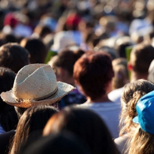Grow Your Audience