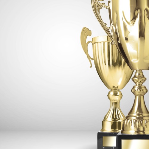 Interactive Media Awards (IMA) Winner