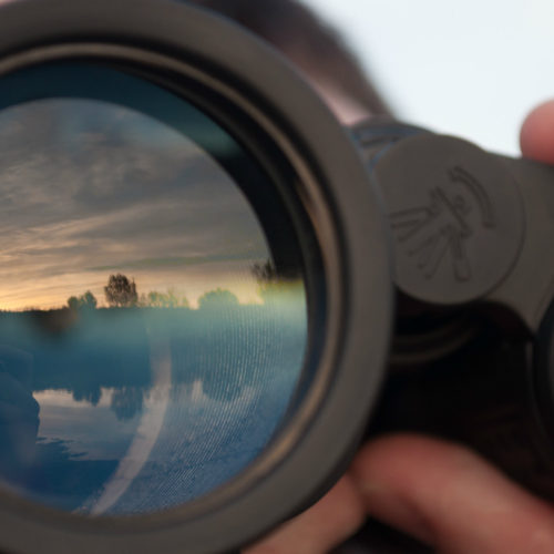 SEO Trends 2017