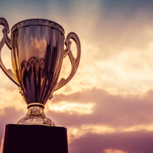 web design awards 2019