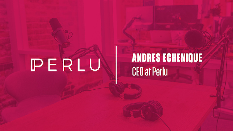Andres Echenique Perlu CEO