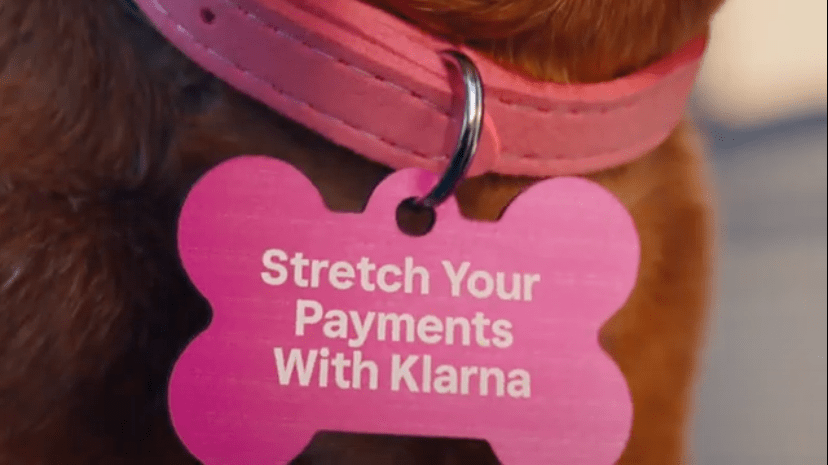 A close-up image of a dog collar with a pink bone-shaped tag that reads 'Stretch Your Payments With Klarna,' promoting Klarna’s flexible payment options.