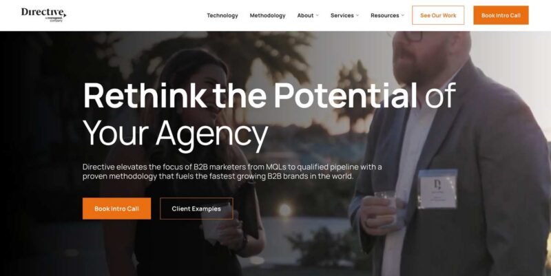 directive home page screenshot